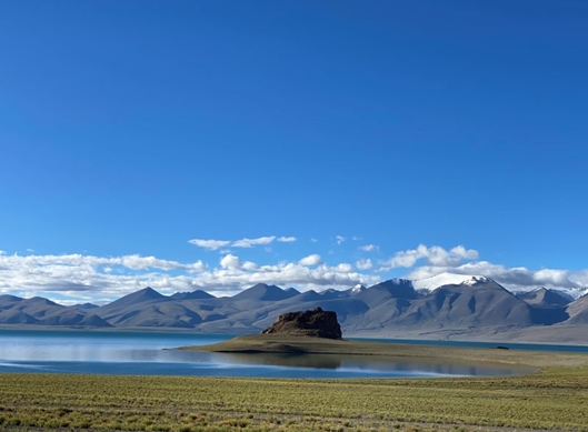 世界土壤日宣传系列微视频（二）——青藏高原土壤生物多样性科考