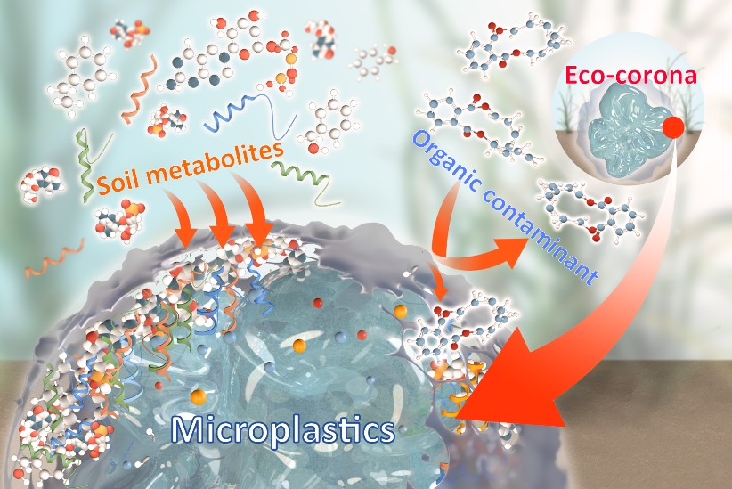 实验室在微塑料和有机质互作方面取得进展（二）